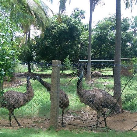 Mango Village Farm House Nelliyampathy Exteriör bild