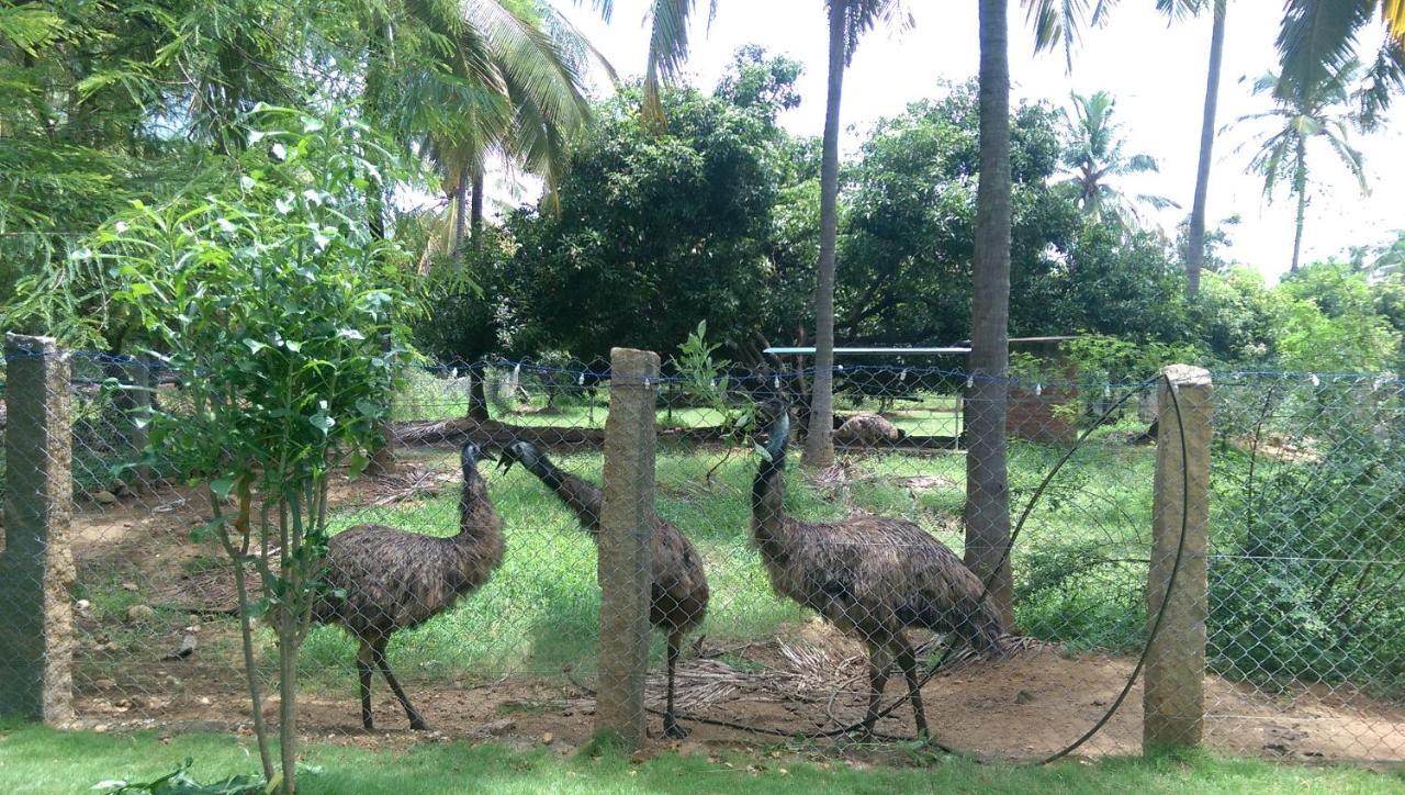 Mango Village Farm House Nelliyampathy Exteriör bild